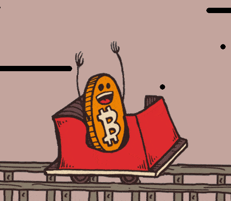 crypto rollercoaster image